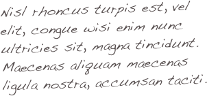 Nisl rhoncus turpis est, vel elit, congue wisi enim nunc ultricies sit, magna tincidunt. Maecenas aliquam maecenas ligula nostra, accumsan taciti.